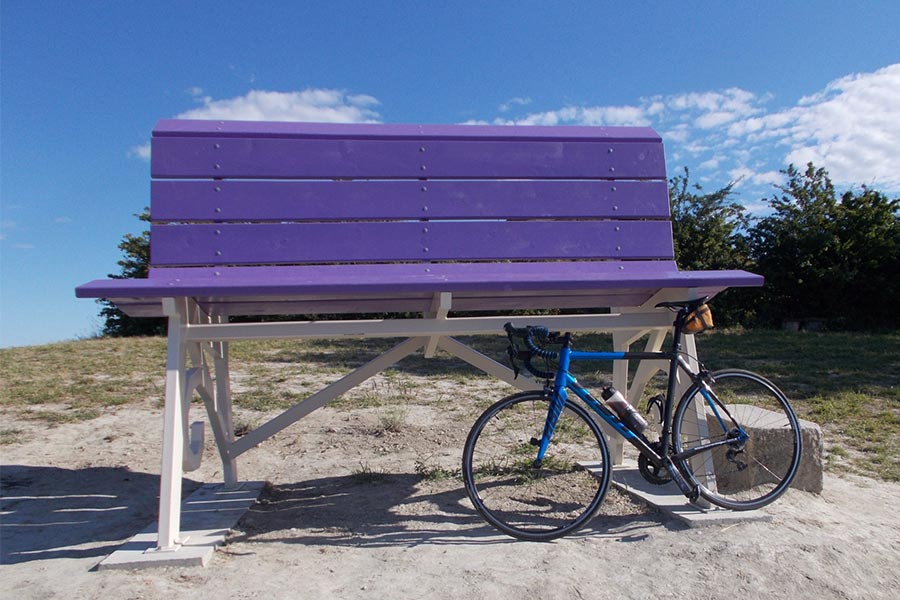 Big violet bench